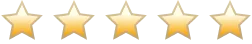 4.9 stars